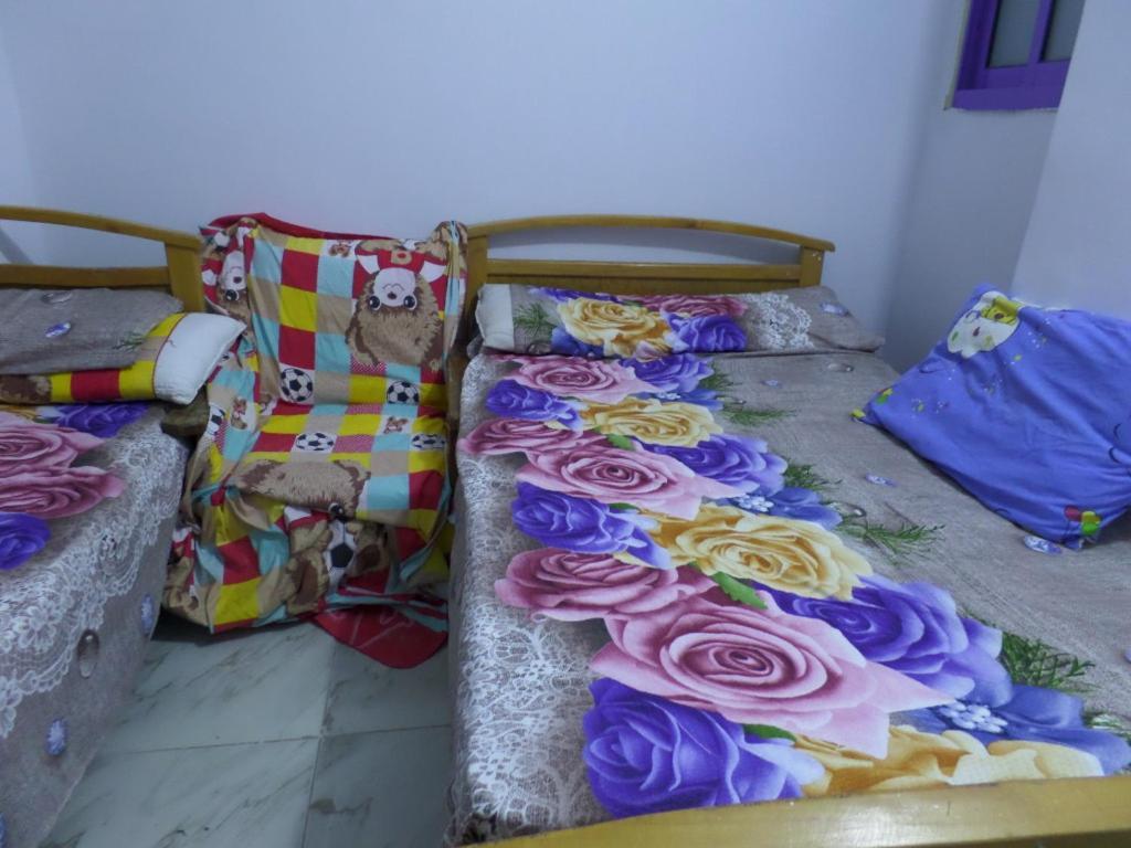 برج بيلو بيتش Appartement Alexandrie